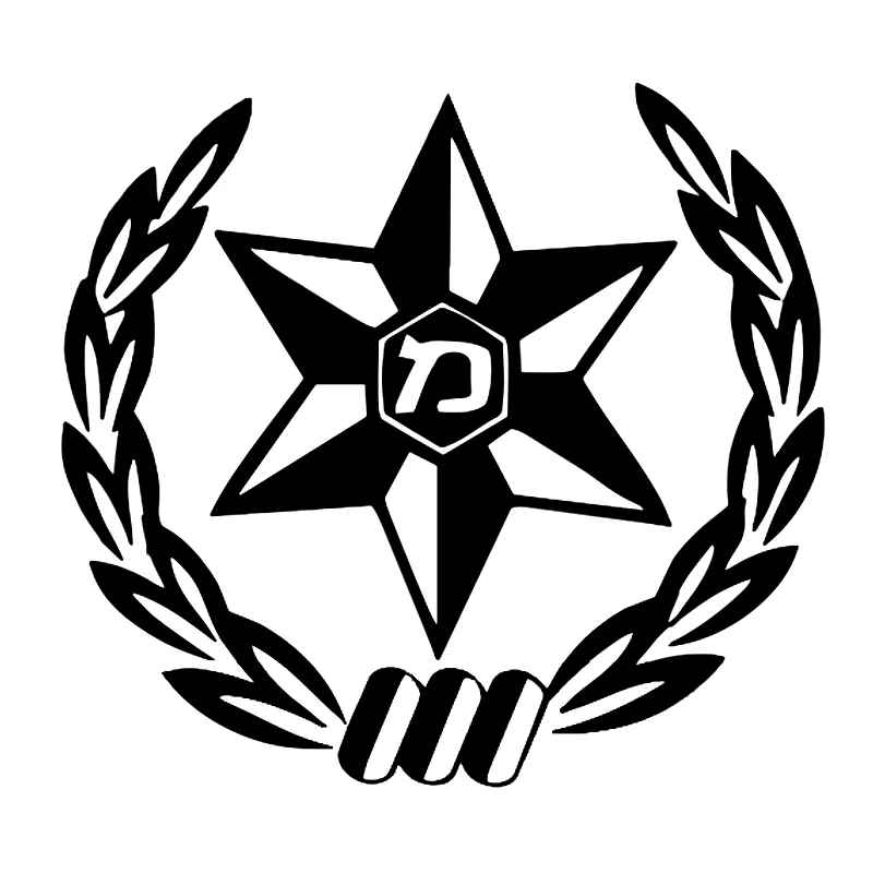 Car Sticker  Die-cut Vinyl Dec - Car Accessories Nz review and price