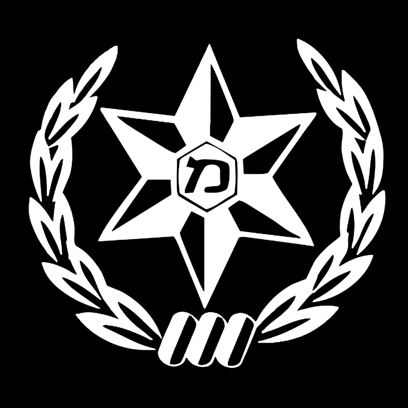 Car Sticker  Die-cut Vinyl Dec - Car Accessories Nz review and price